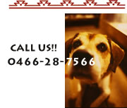 CALL US!!　0466-28-7566