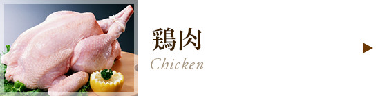 鶏