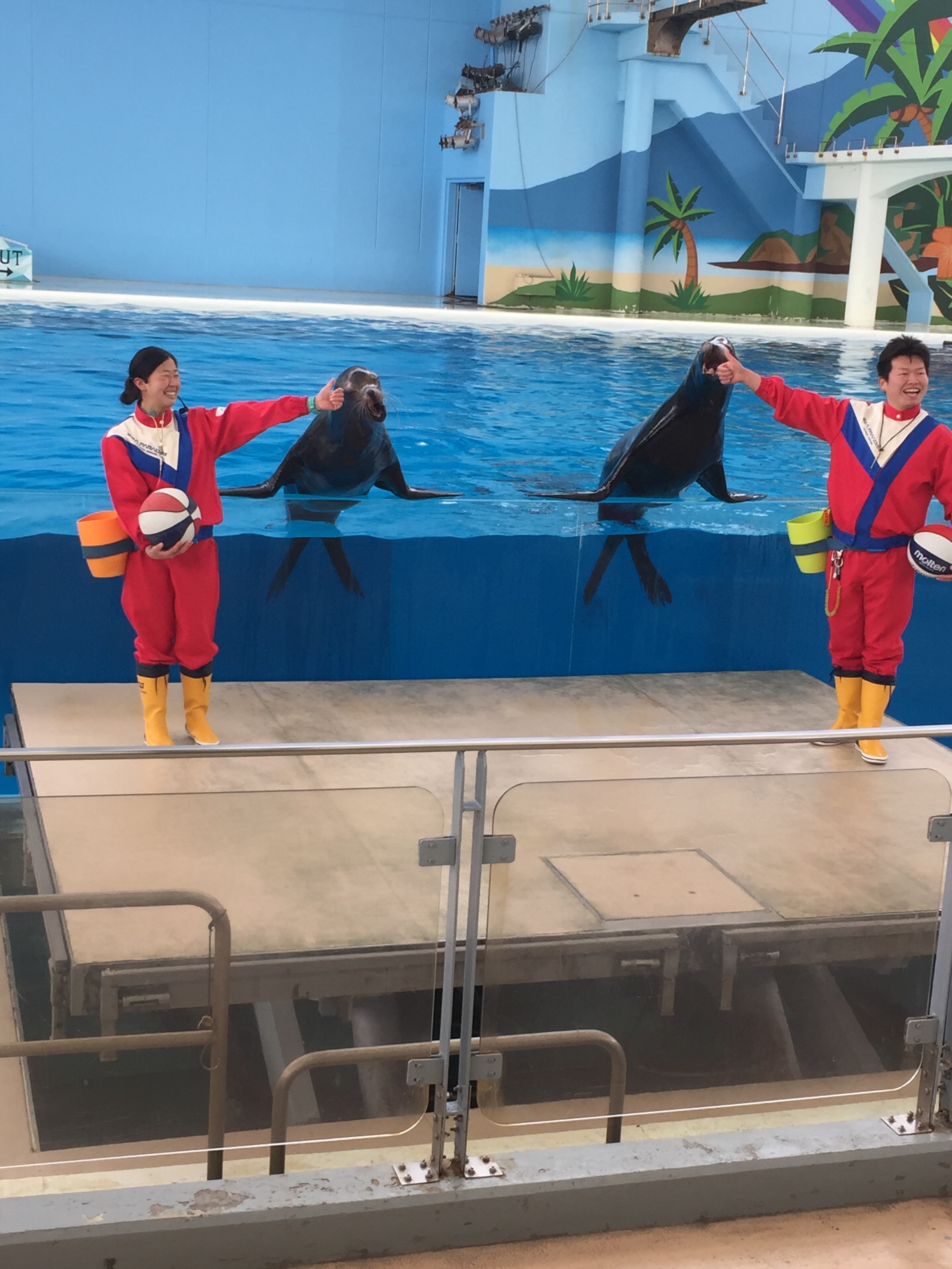 横浜・八景島シーパラダイス_口コミ投稿写真20180628165558