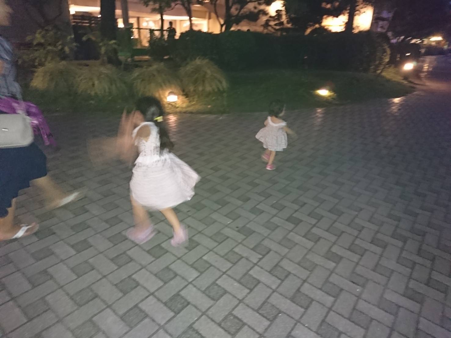 横浜・八景島シーパラダイス_口コミ投稿写真20180818171134