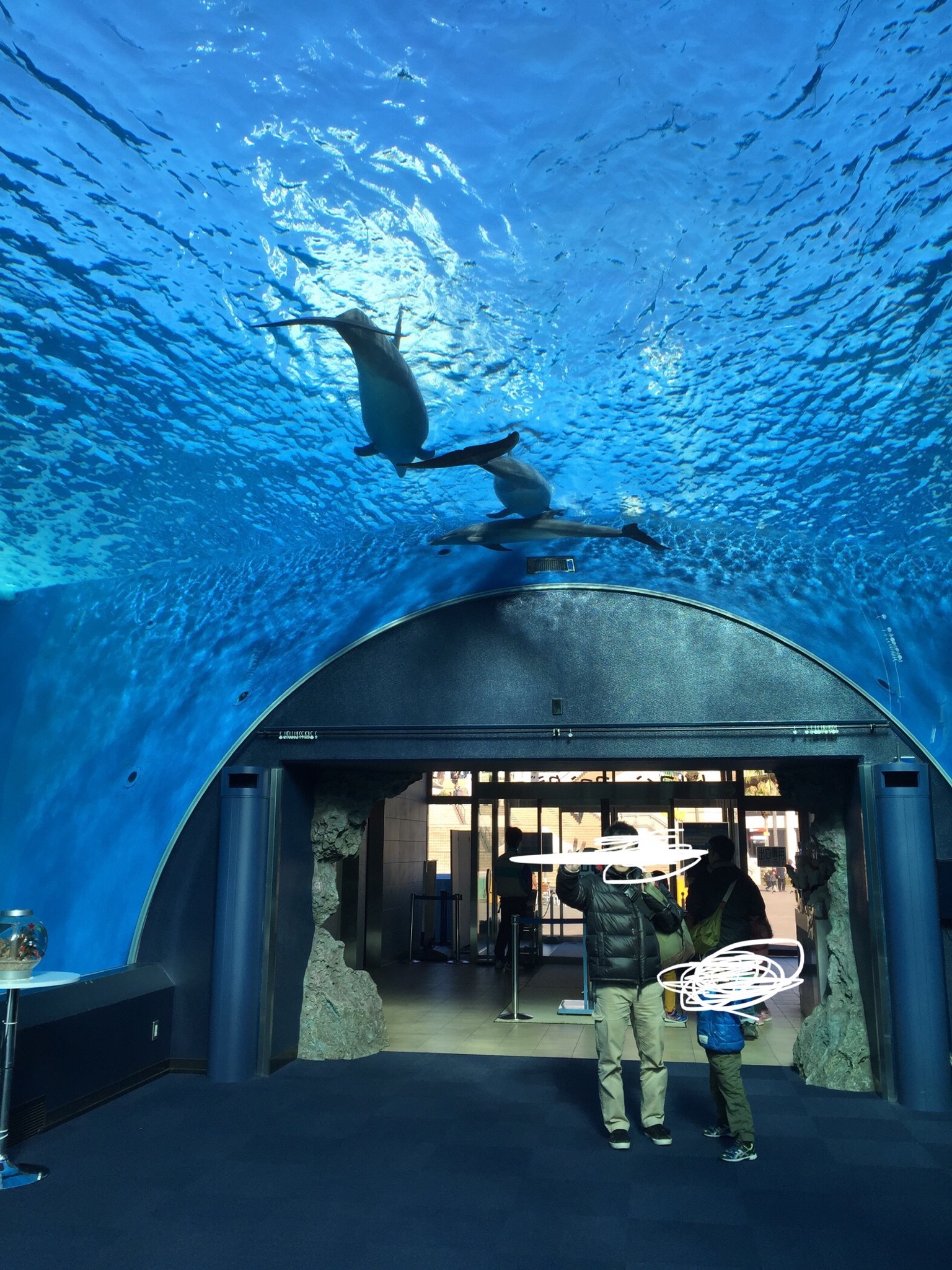 横浜・八景島シーパラダイス_口コミ投稿写真20180929143254