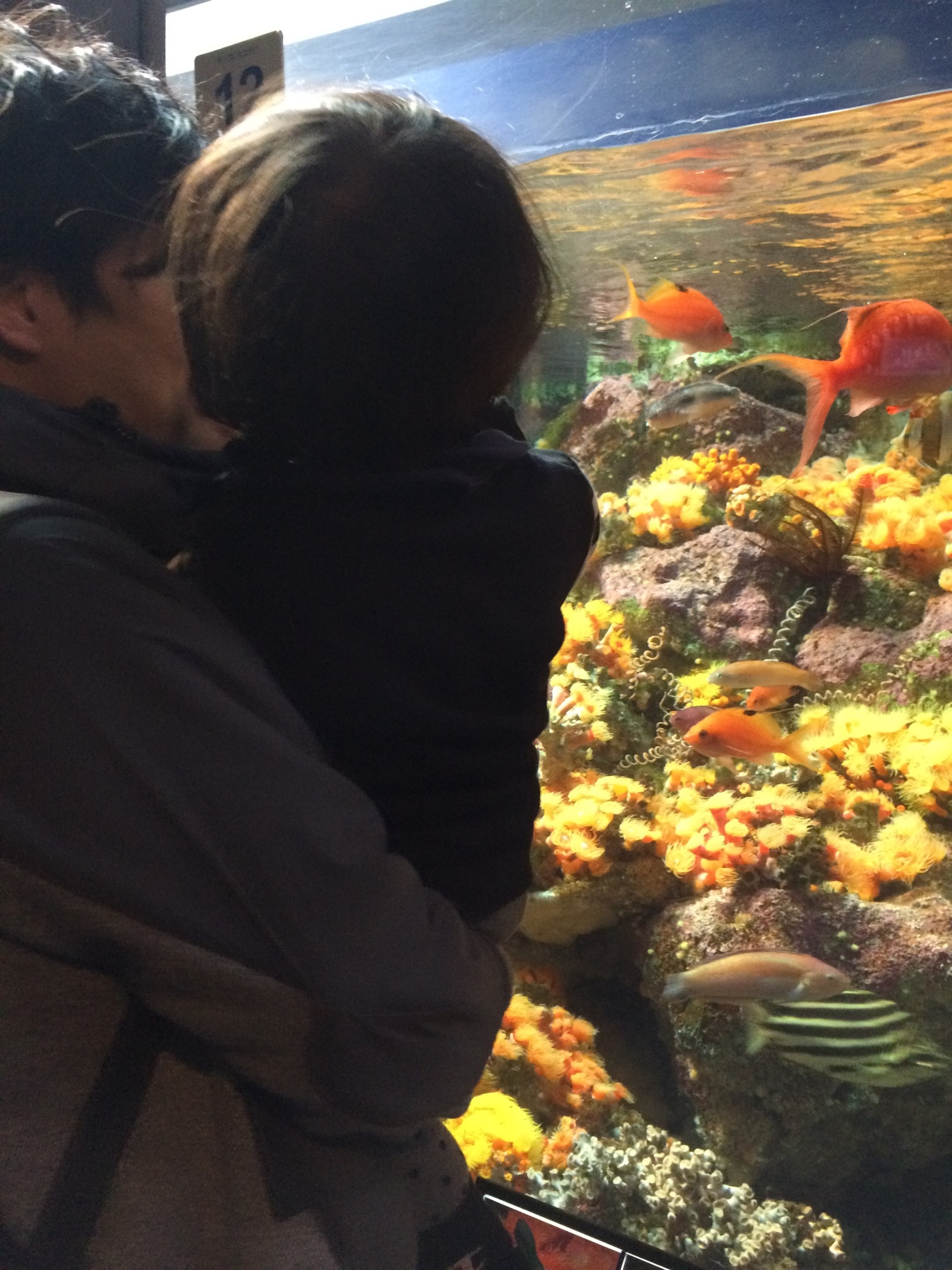 横浜・八景島シーパラダイス_口コミ投稿写真20181101002310