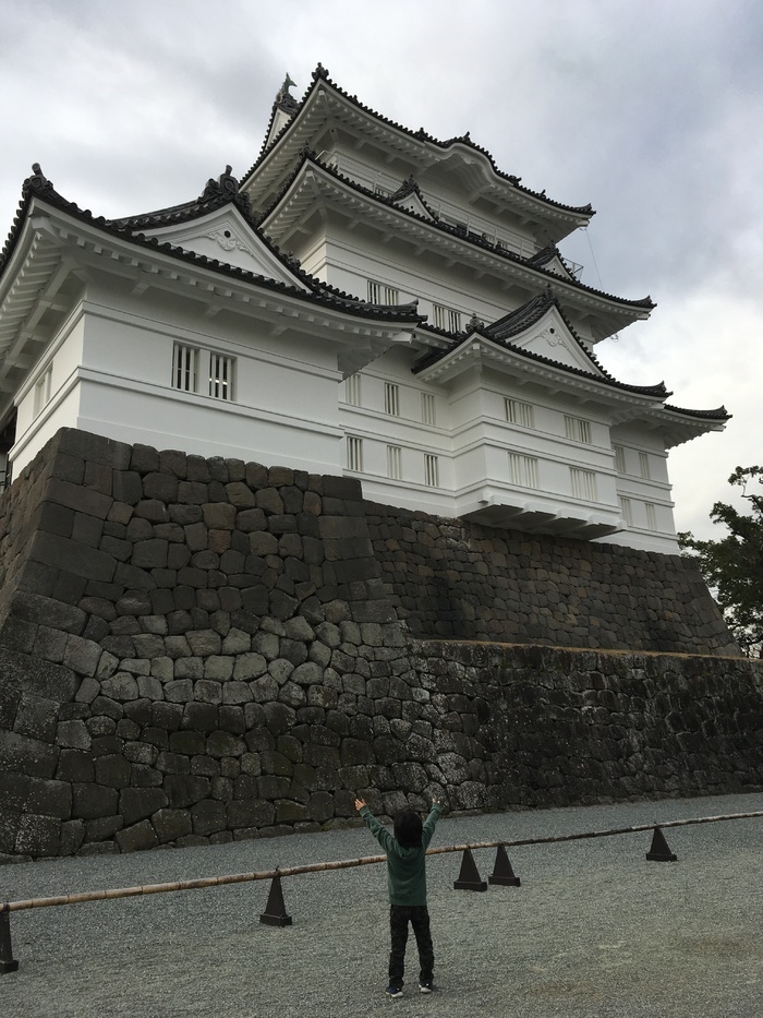 小田原城_口コミ投稿写真20170114180156220