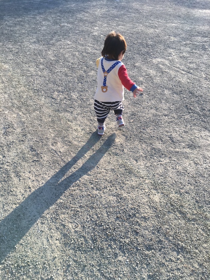 小田原城_口コミ投稿写真20170429231248308