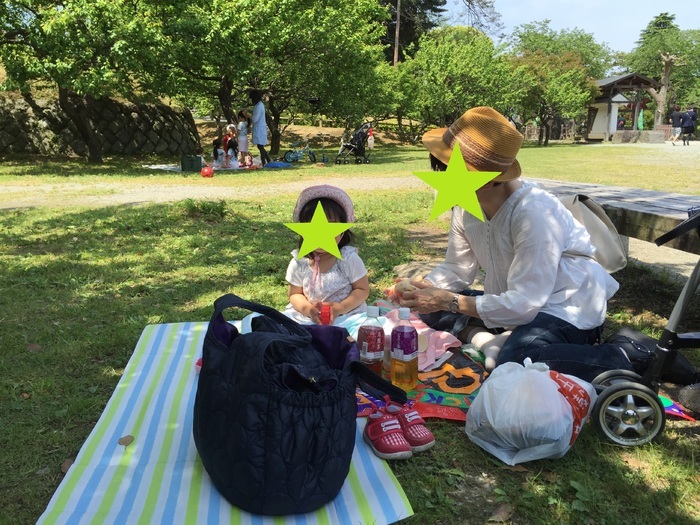 小田原城_口コミ投稿写真20170508140121844