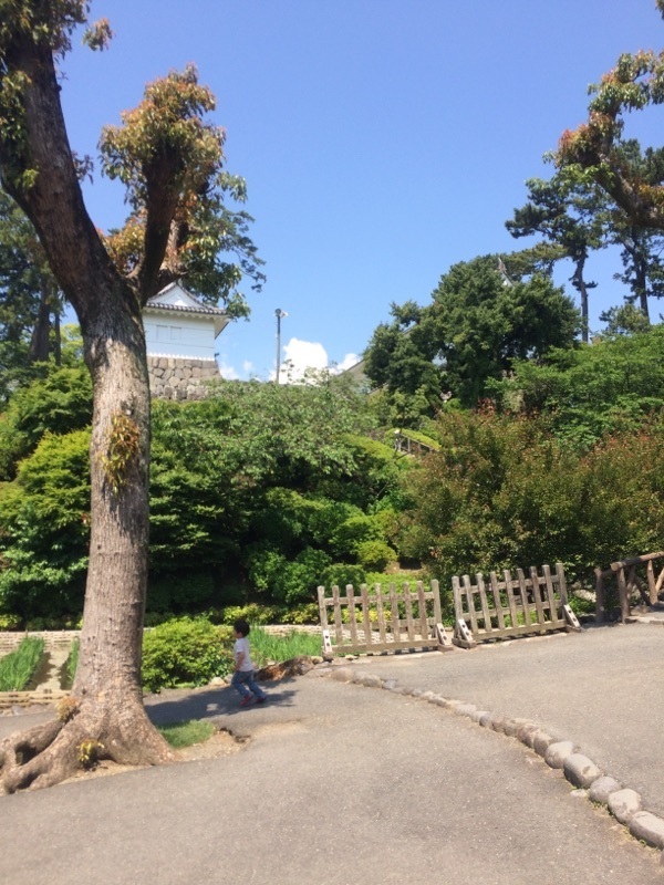 小田原城_口コミ投稿写真20170519163910516