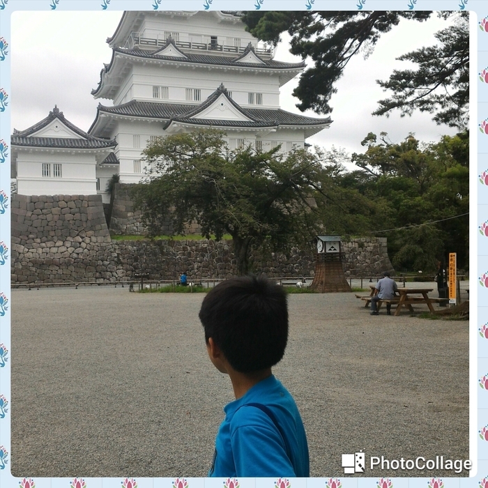 小田原城_口コミ投稿写真20170816211016038