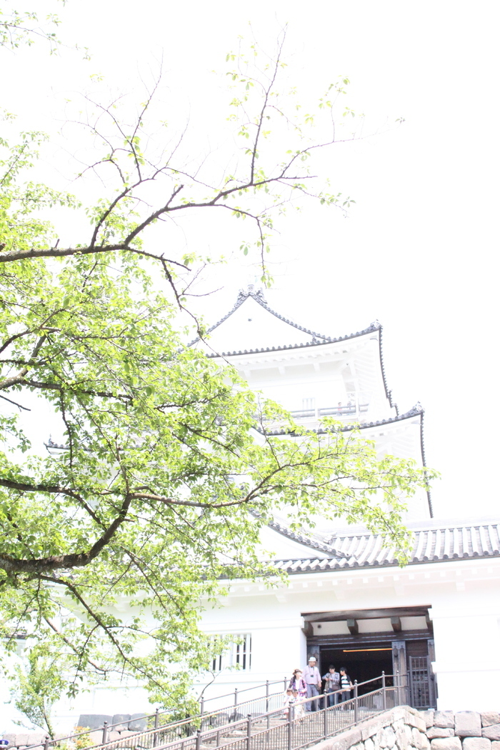 小田原城_口コミ投稿写真20170903213644099