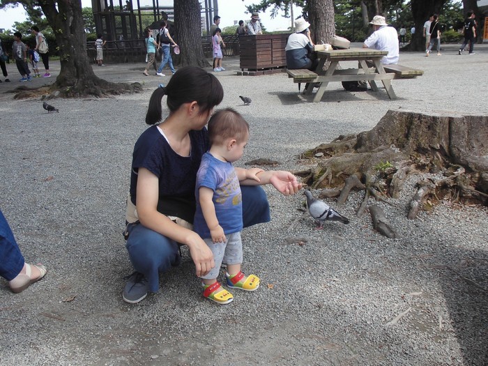 小田原城_口コミ投稿写真20170909233734888