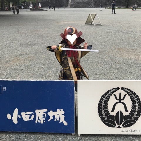 小田原城_口コミ投稿写真20170928163812537