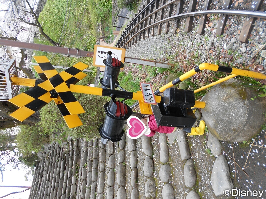 小田原城_口コミ投稿写真20180523235010