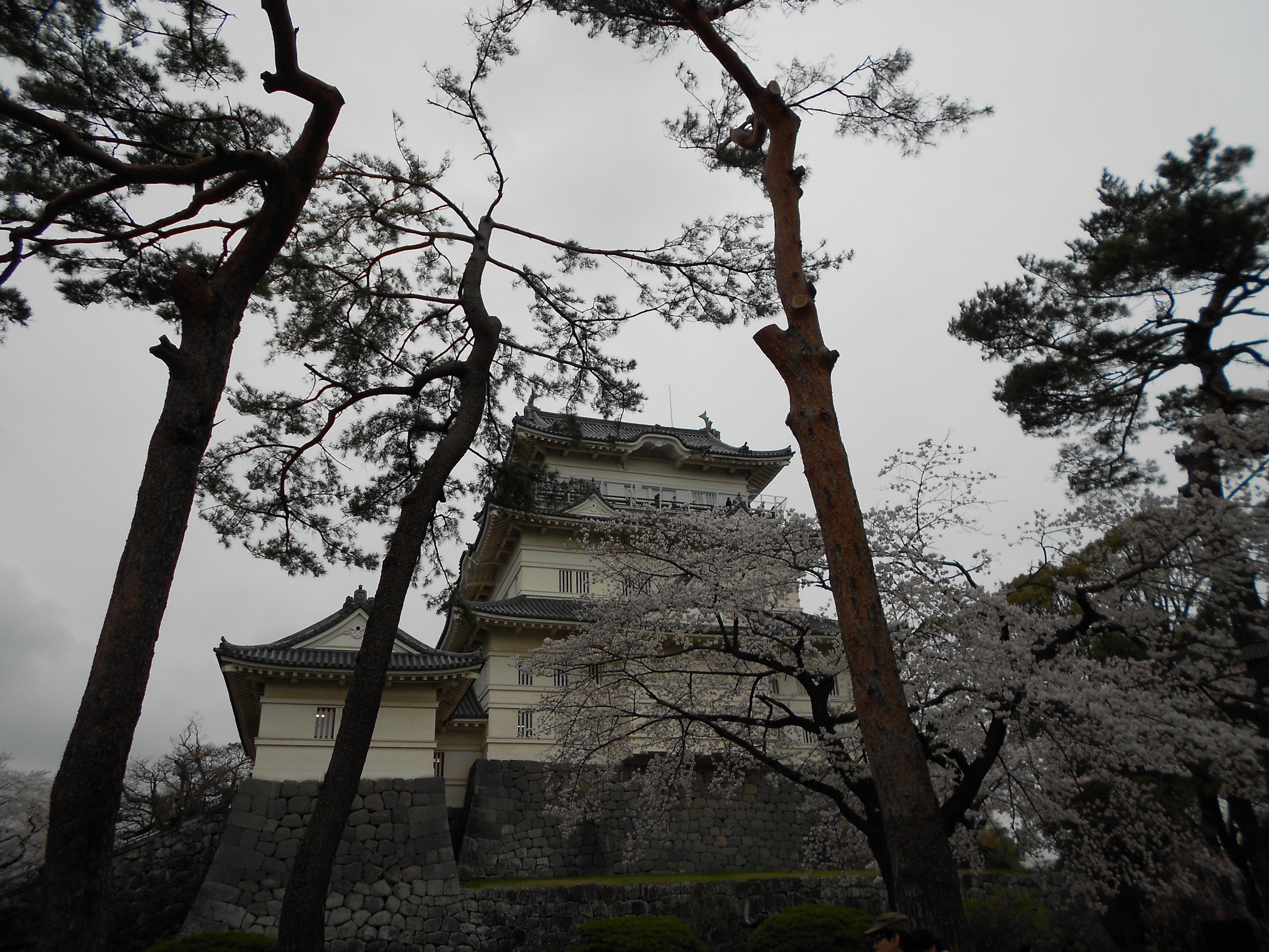 小田原城_口コミ投稿写真20180523235023