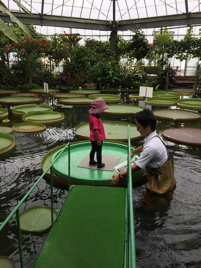 熱川バナナワニ園_口コミ投稿写真20170817153202550
