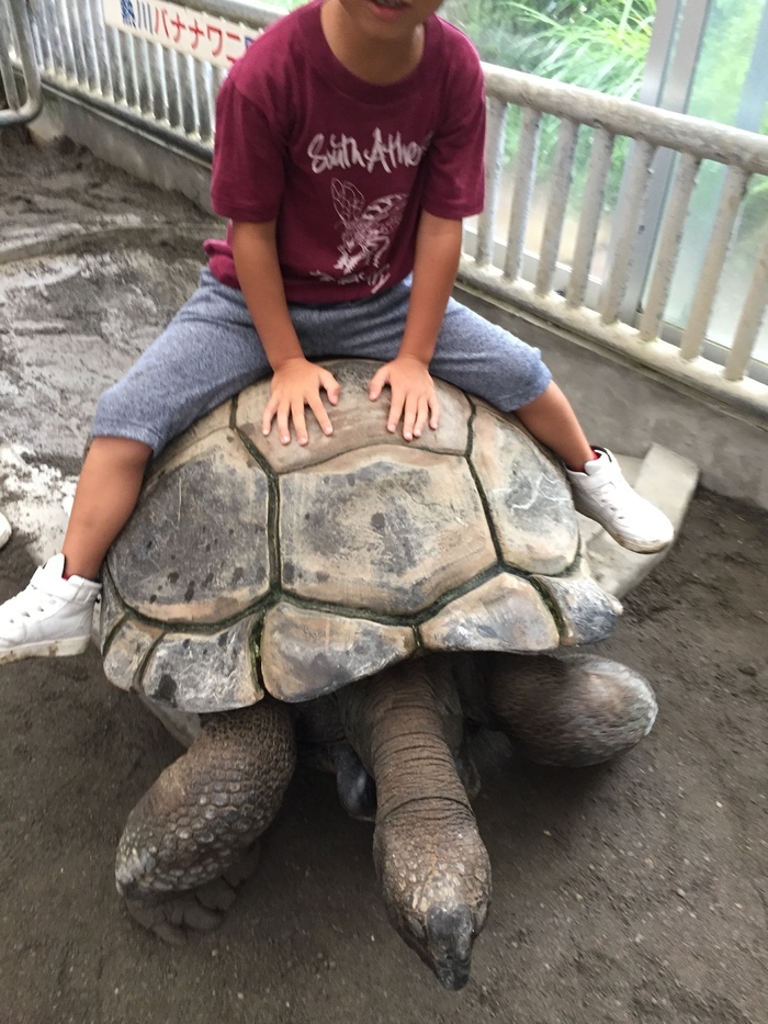 熱川バナナワニ園_口コミ投稿写真20170817153239159