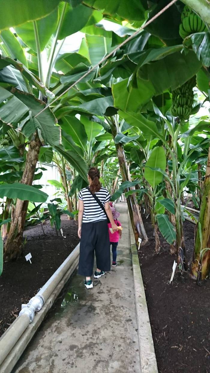 熱川バナナワニ園_口コミ投稿写真20170817153259094