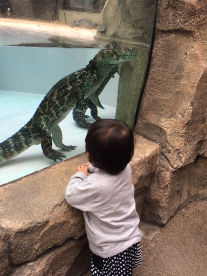 熱川バナナワニ園_口コミ投稿写真20170707080736511