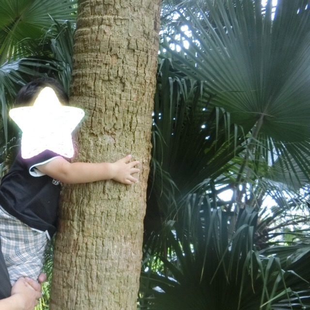 熱川バナナワニ園_口コミ投稿写真20170904223704530