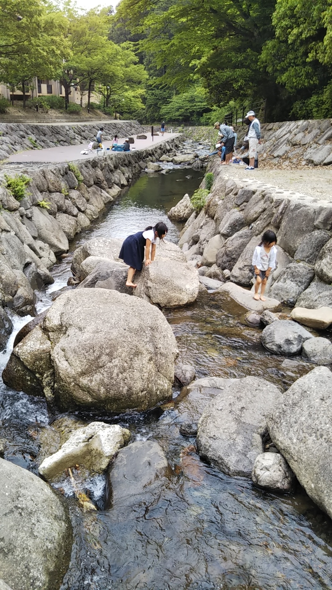 牛滝温泉 いよやかの郷 岸和田市 口コミ 評判 Epark