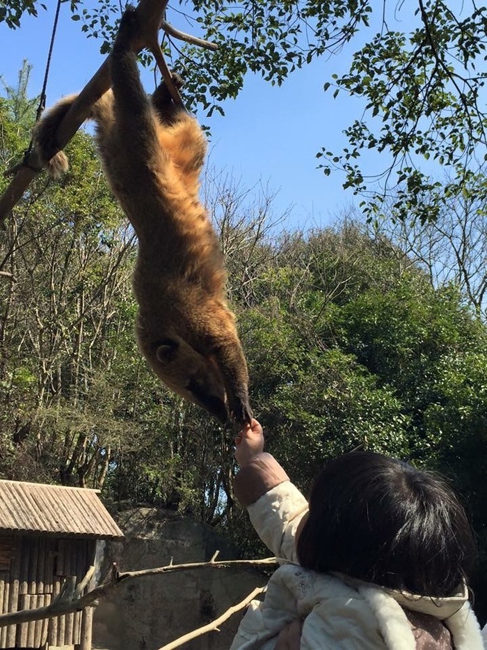 長崎バイオパーク_口コミ投稿写真20170319010031552