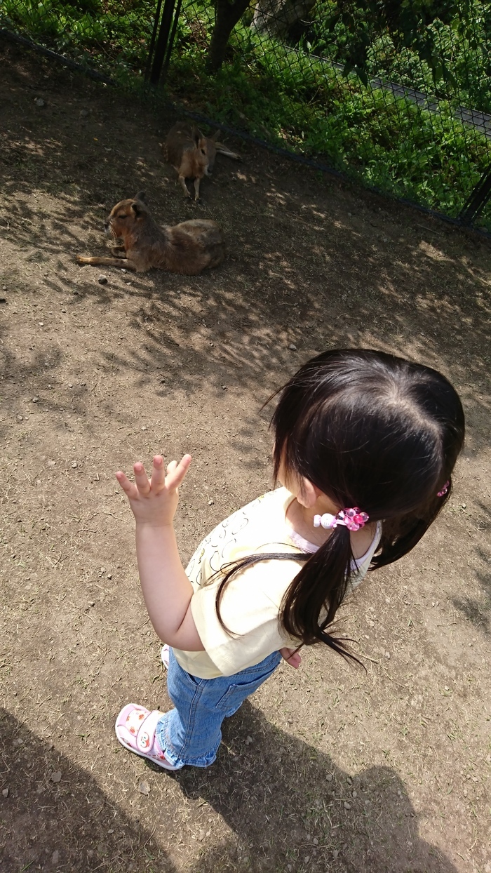 長崎バイオパーク_口コミ投稿写真20170510014331910