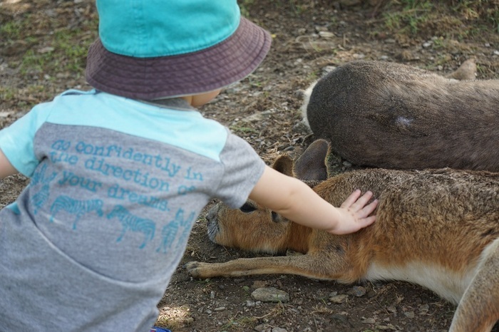長崎バイオパーク_口コミ投稿写真20170516100031269