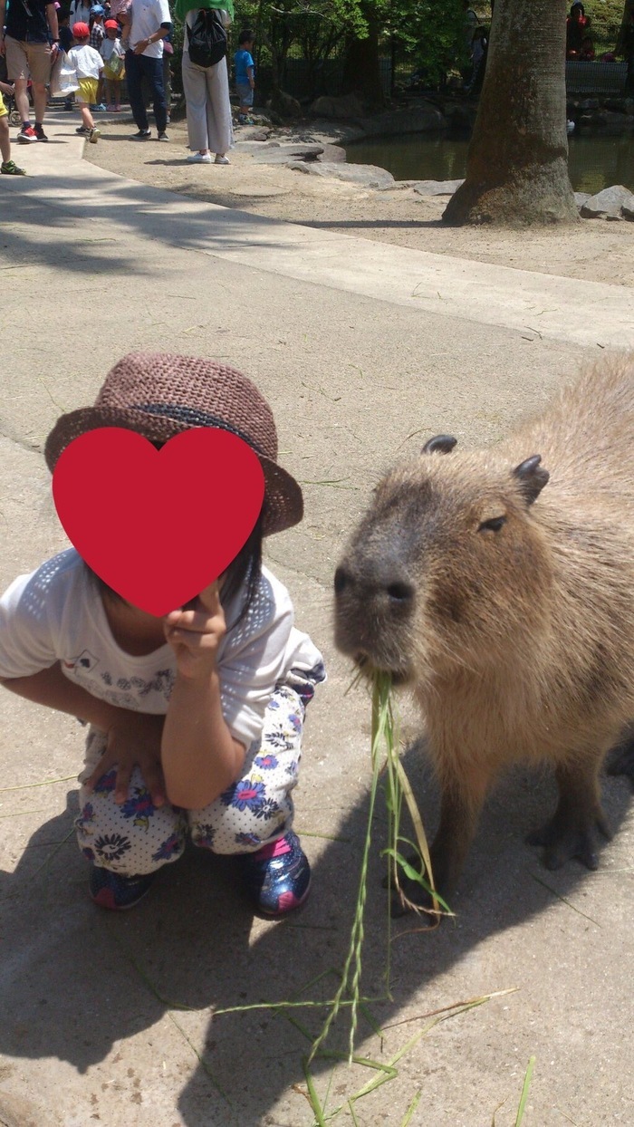 長崎バイオパーク_口コミ投稿写真20170531004935785