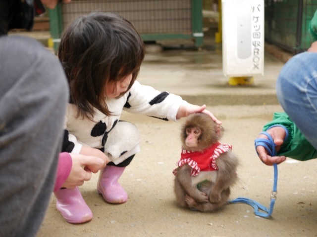 しろとり動物園_口コミ投稿写真20170331105620983