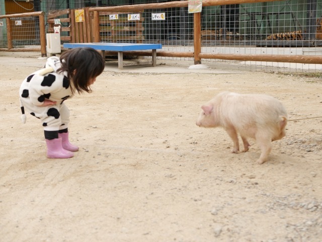 しろとり動物園_口コミ投稿写真20170331105644161