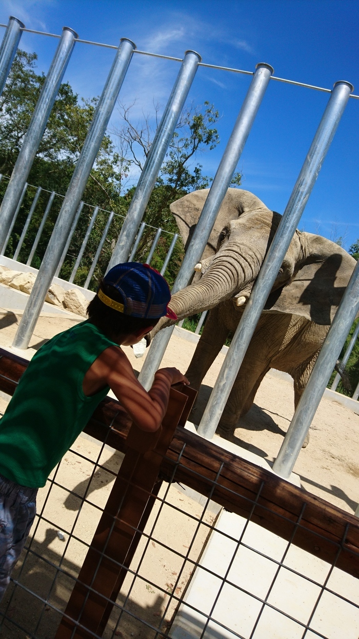 しろとり動物園_口コミ投稿写真20170806224132841