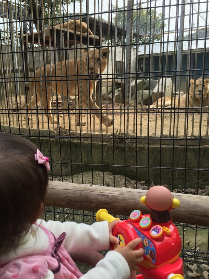 しろとり動物園_口コミ投稿写真20170728095720420