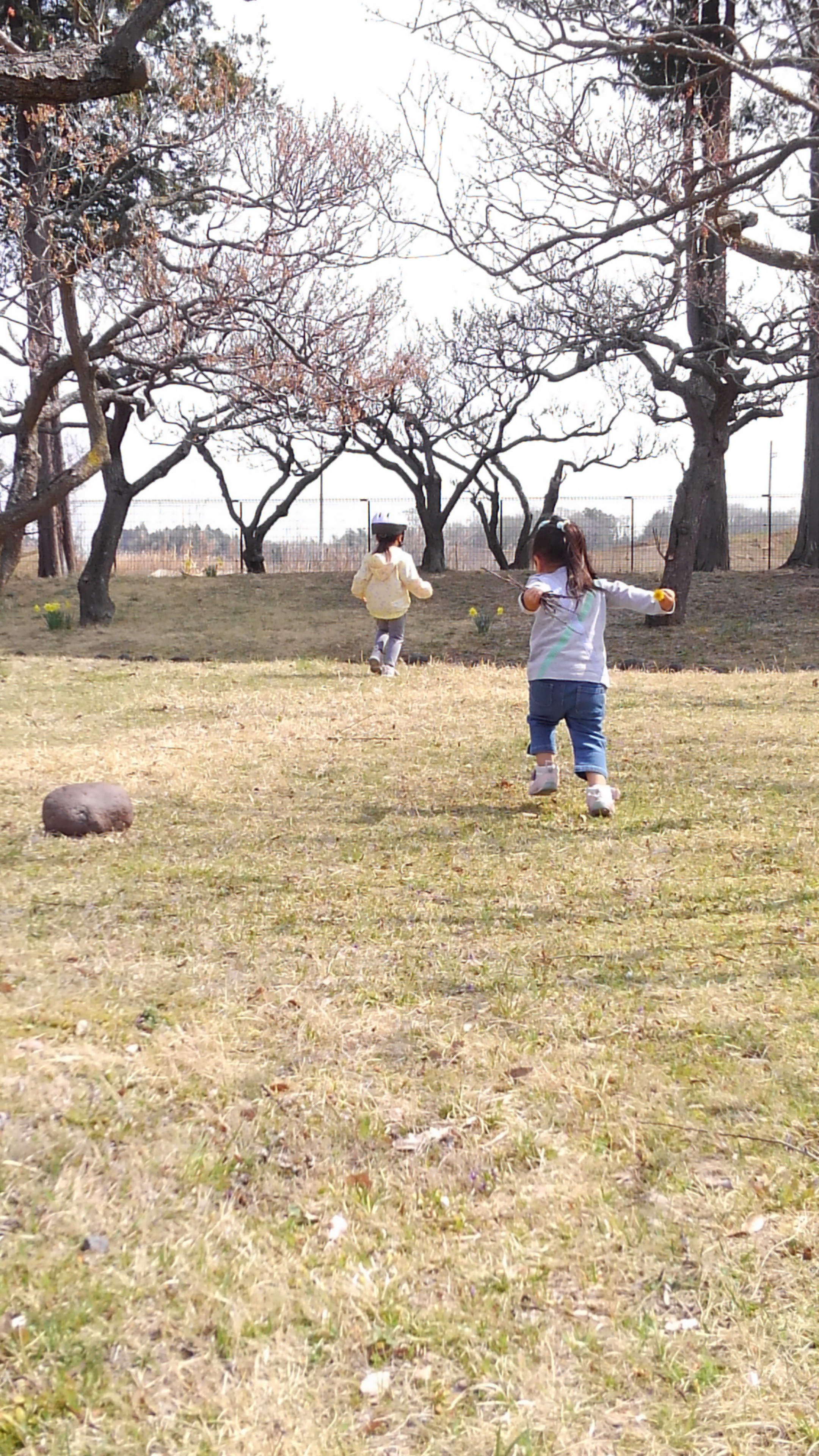 井頭公園 真岡市 口コミ 評判 Epark