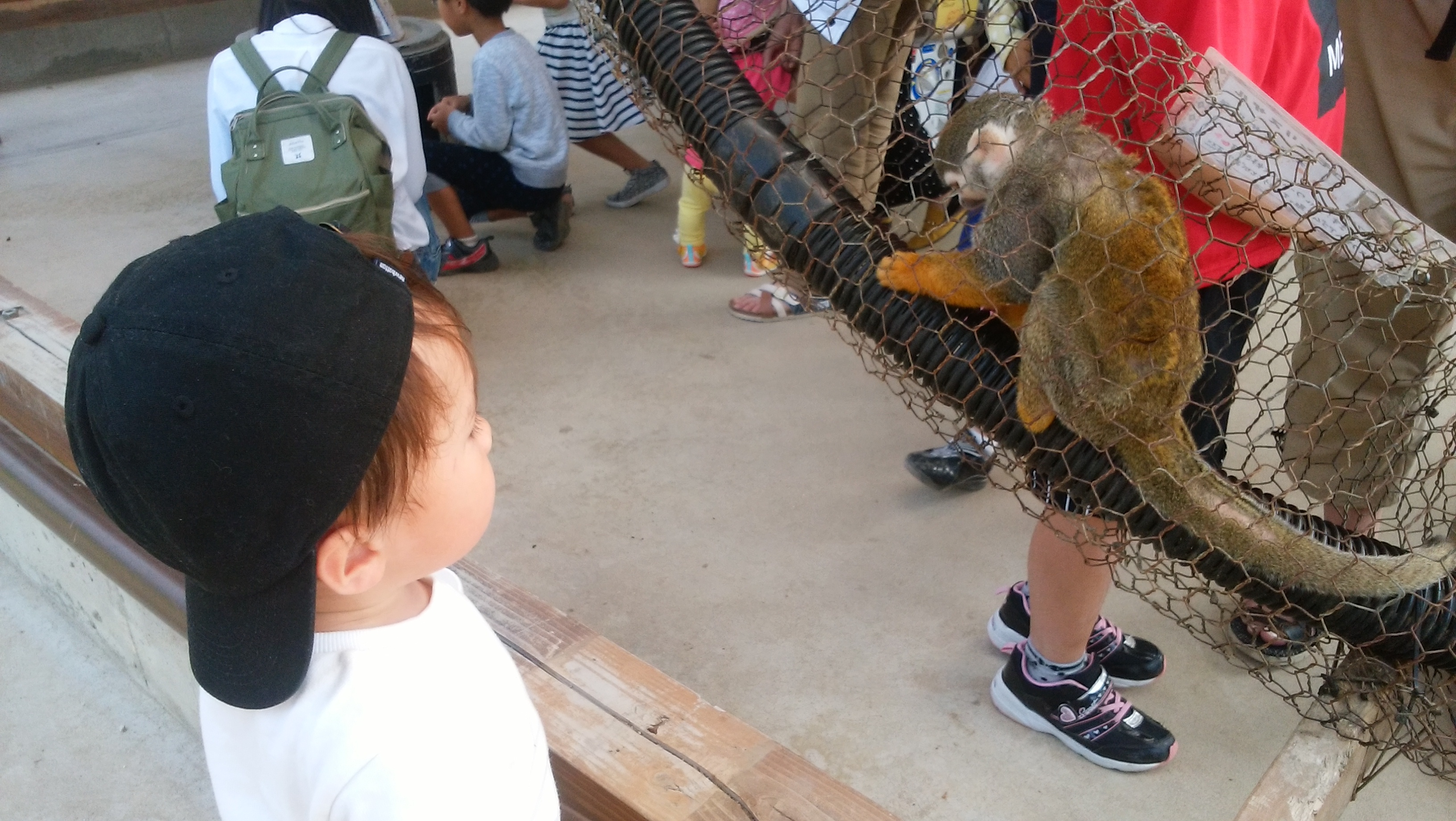 トリアスふれあい動物園 糟屋郡 口コミ 評判 Epark