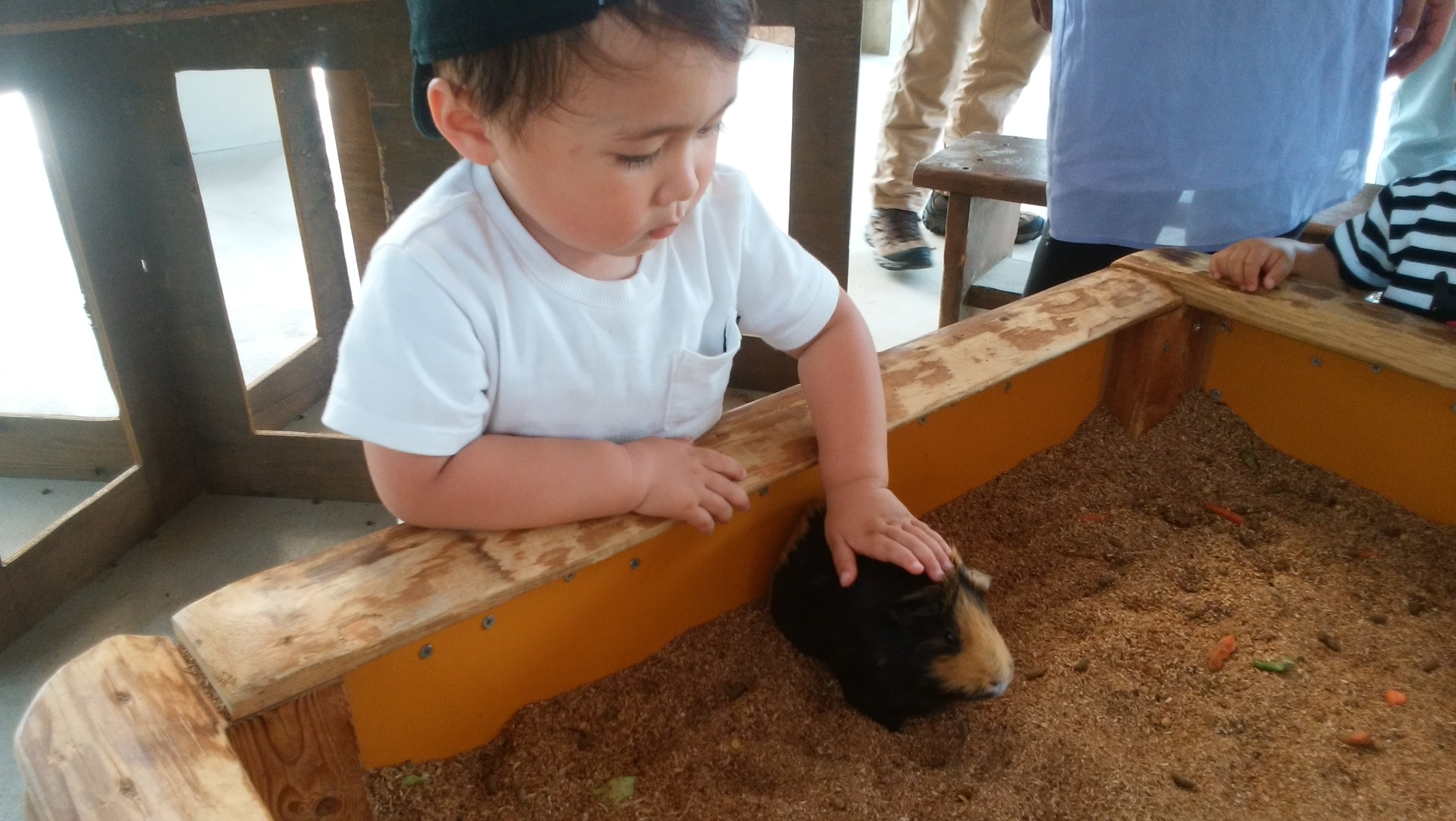 トリアスふれあい動物園 糟屋郡 口コミ 評判 Epark