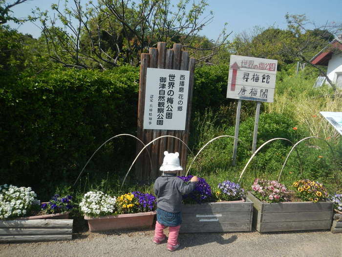 御津自然観察公園 世界の梅公園 たつの市 西岐阜駅 口コミ 評判 Epark