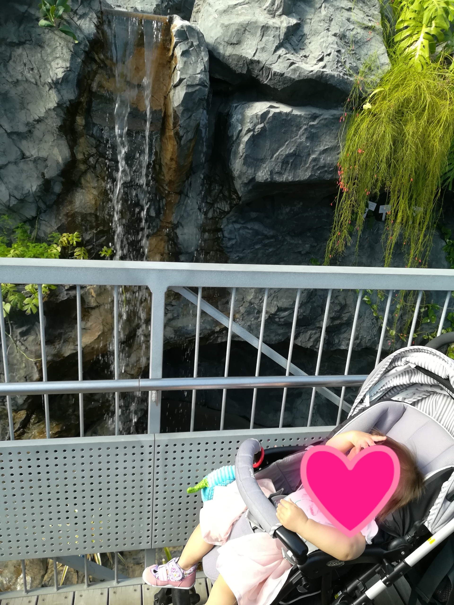 新宿御苑_口コミ投稿写真20180520190620