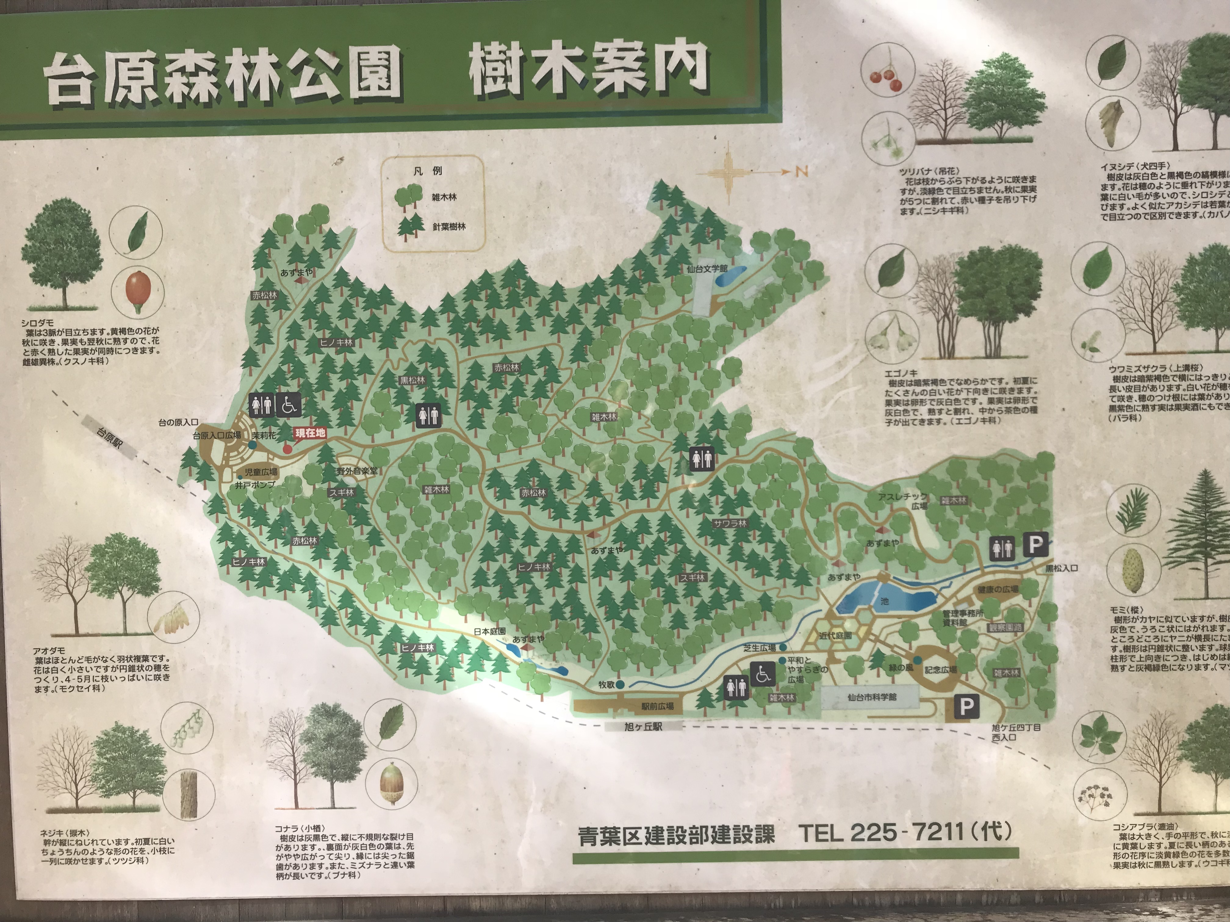 台原森林公園 仙台市青葉区 十条駅 口コミ 評判 Epark