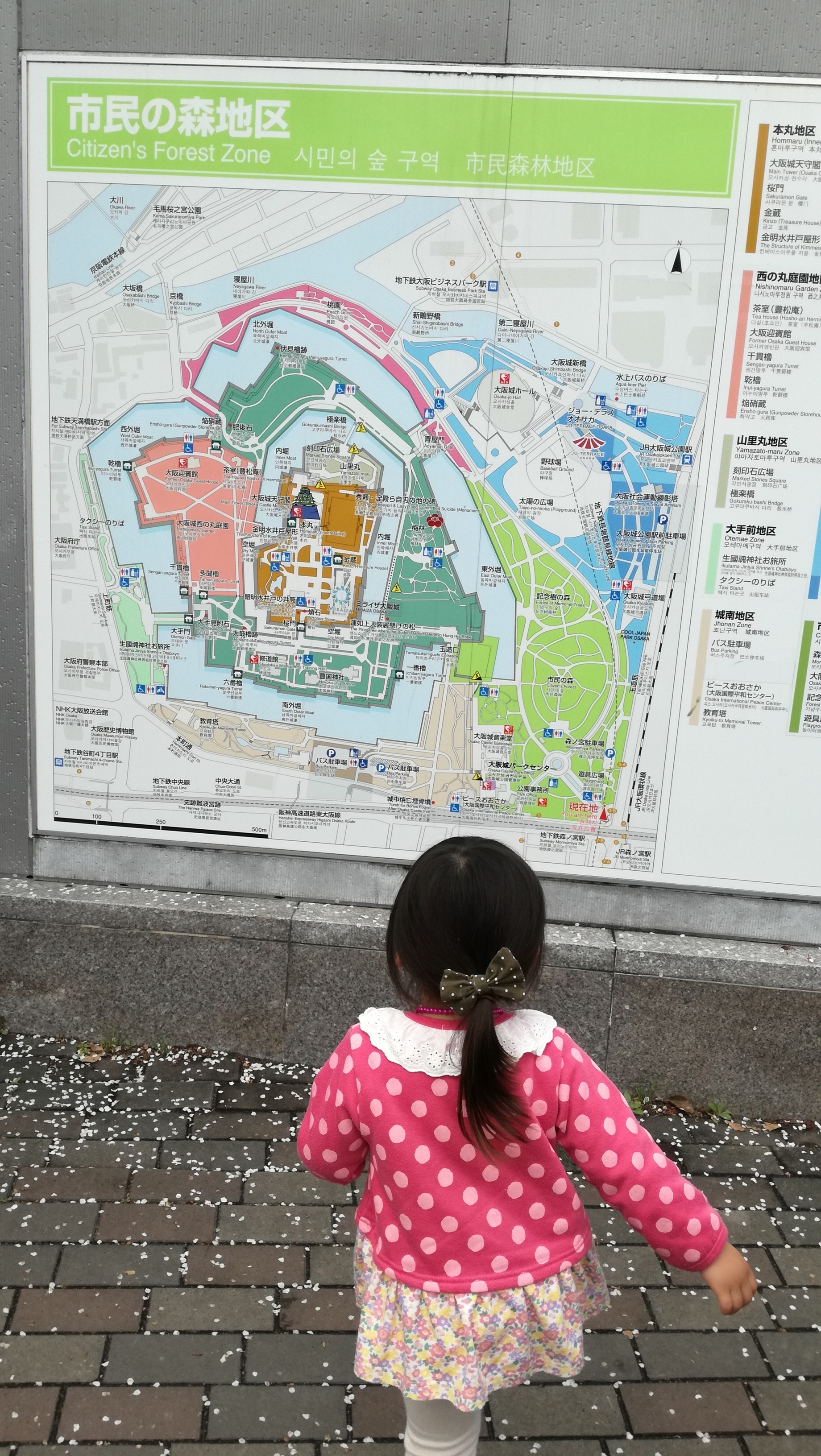 大阪城公園 大阪市中央区 板橋本町駅 口コミ 評判 Epark 大阪城公園 大阪市中央区 板橋本町駅 口コミ 評判 Epark