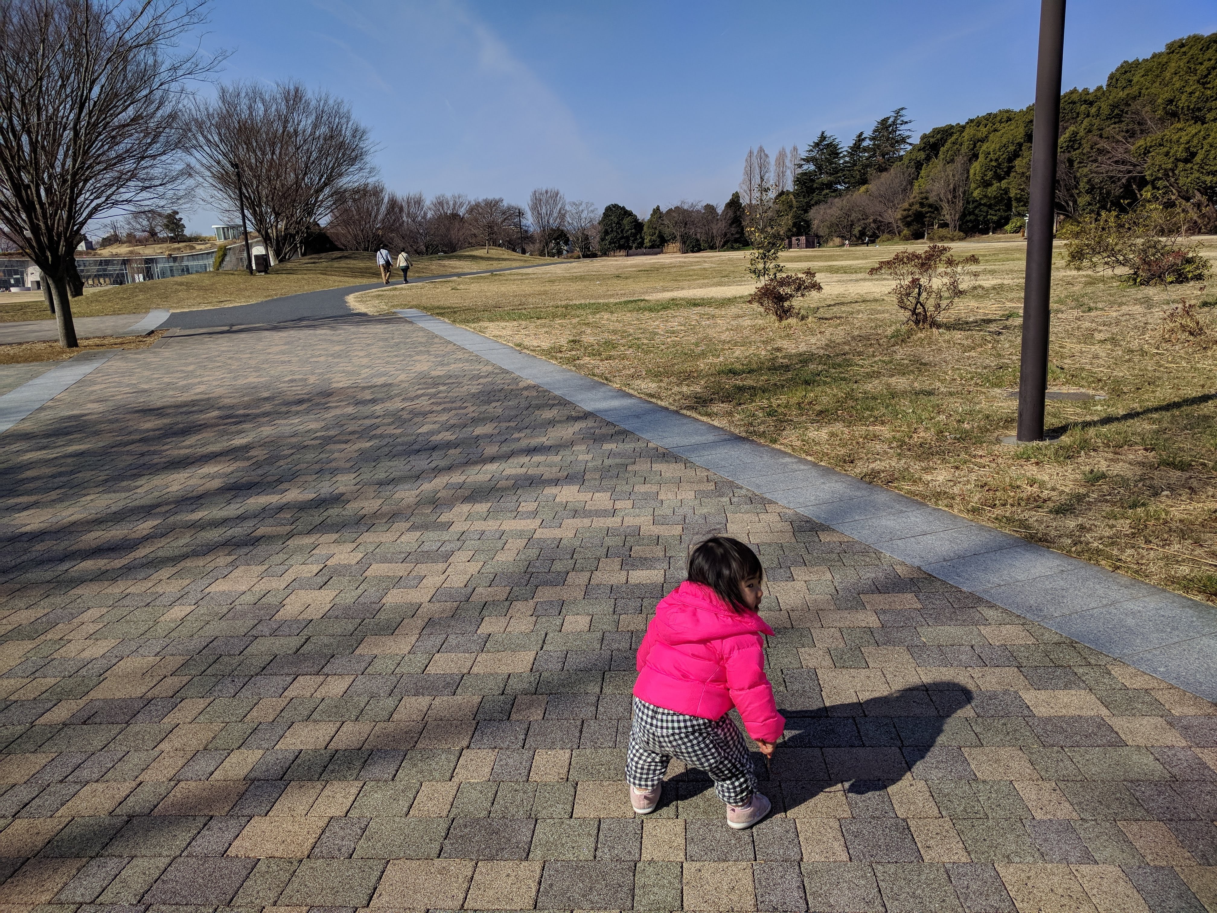 国営昭和記念公園 立川市 立川北駅 口コミ 評判 Epark 国営昭和記念公園 立川市 立川北駅 口コミ 評判 Epark
