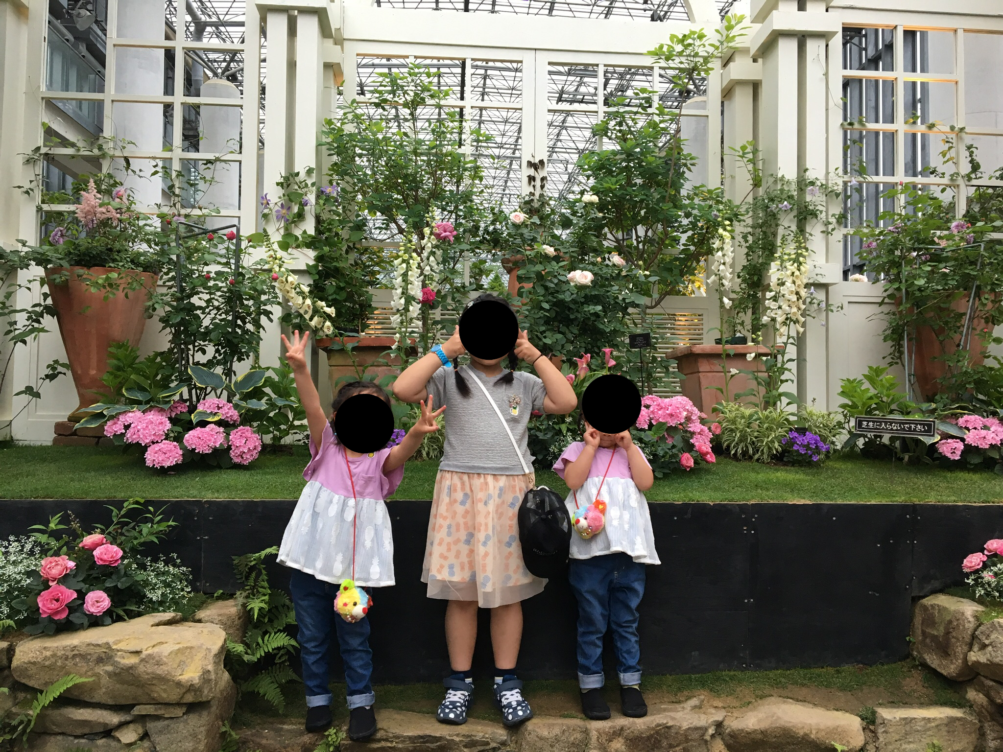 兵庫県立淡路夢舞台温室 奇跡の星の植物館 淡路市 口コミ 評判 Epark 兵庫県立淡路夢舞台温室 奇跡の星の植物館 淡路市 口コミ 評判 Epark