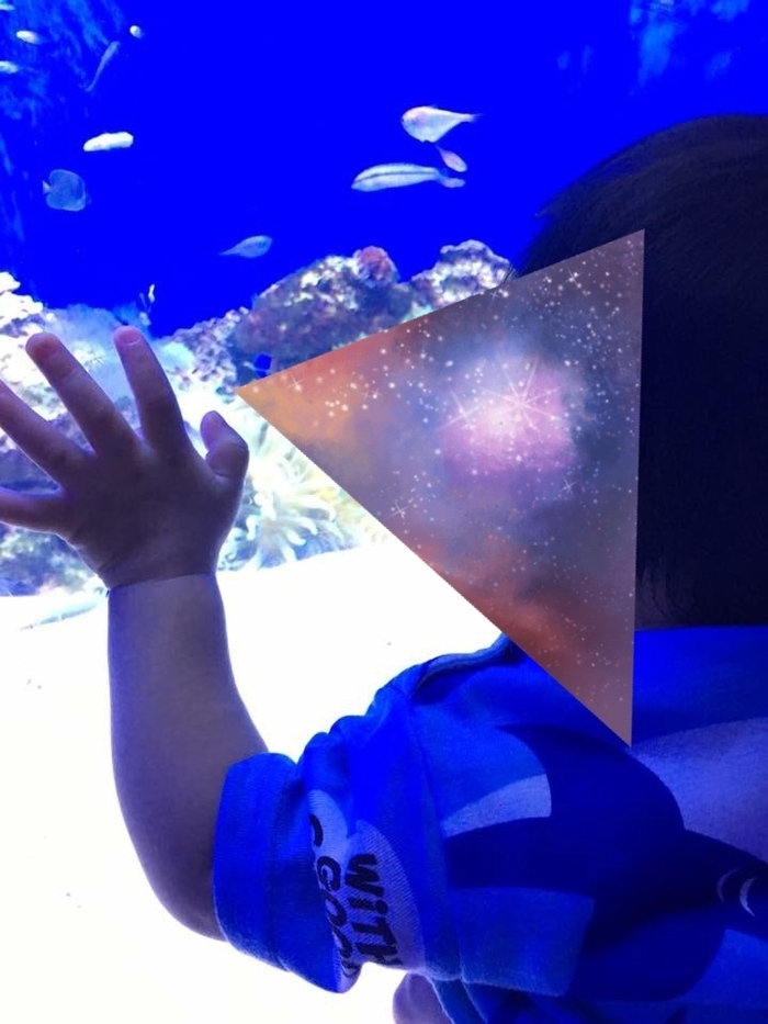 伊豆・三津シーパラダイス_口コミ投稿写真20170424232358458