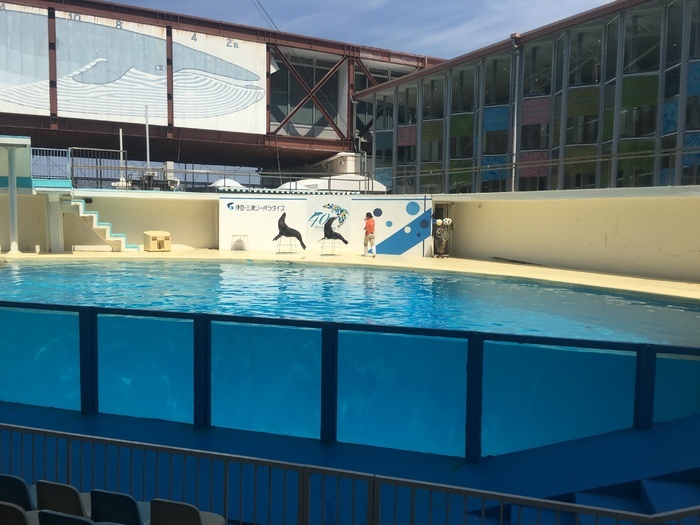 伊豆・三津シーパラダイス_口コミ投稿写真20170513062859850
