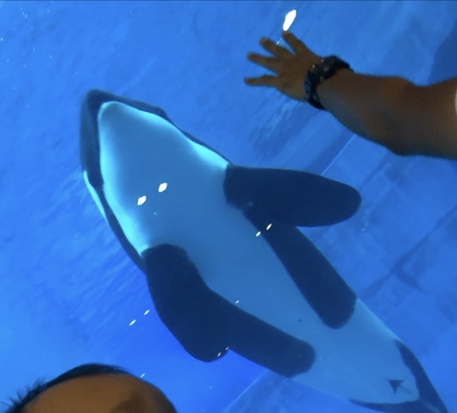 名古屋港水族館_口コミ投稿写真20220317163850