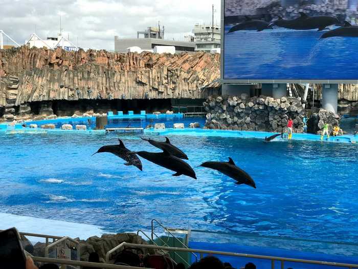 名古屋港水族館_口コミ投稿写真20220317190402