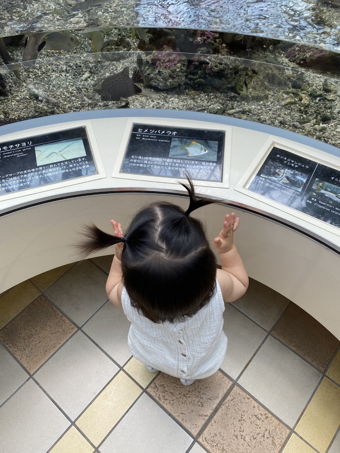 名古屋港水族館_口コミ投稿写真20220317200449