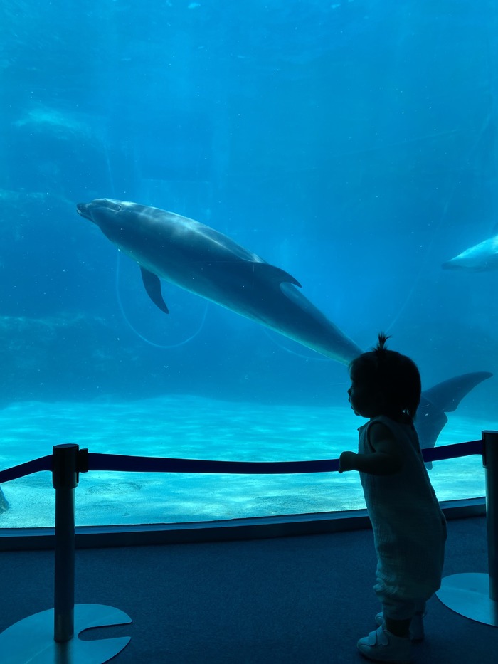 名古屋港水族館_口コミ投稿写真20220317200514