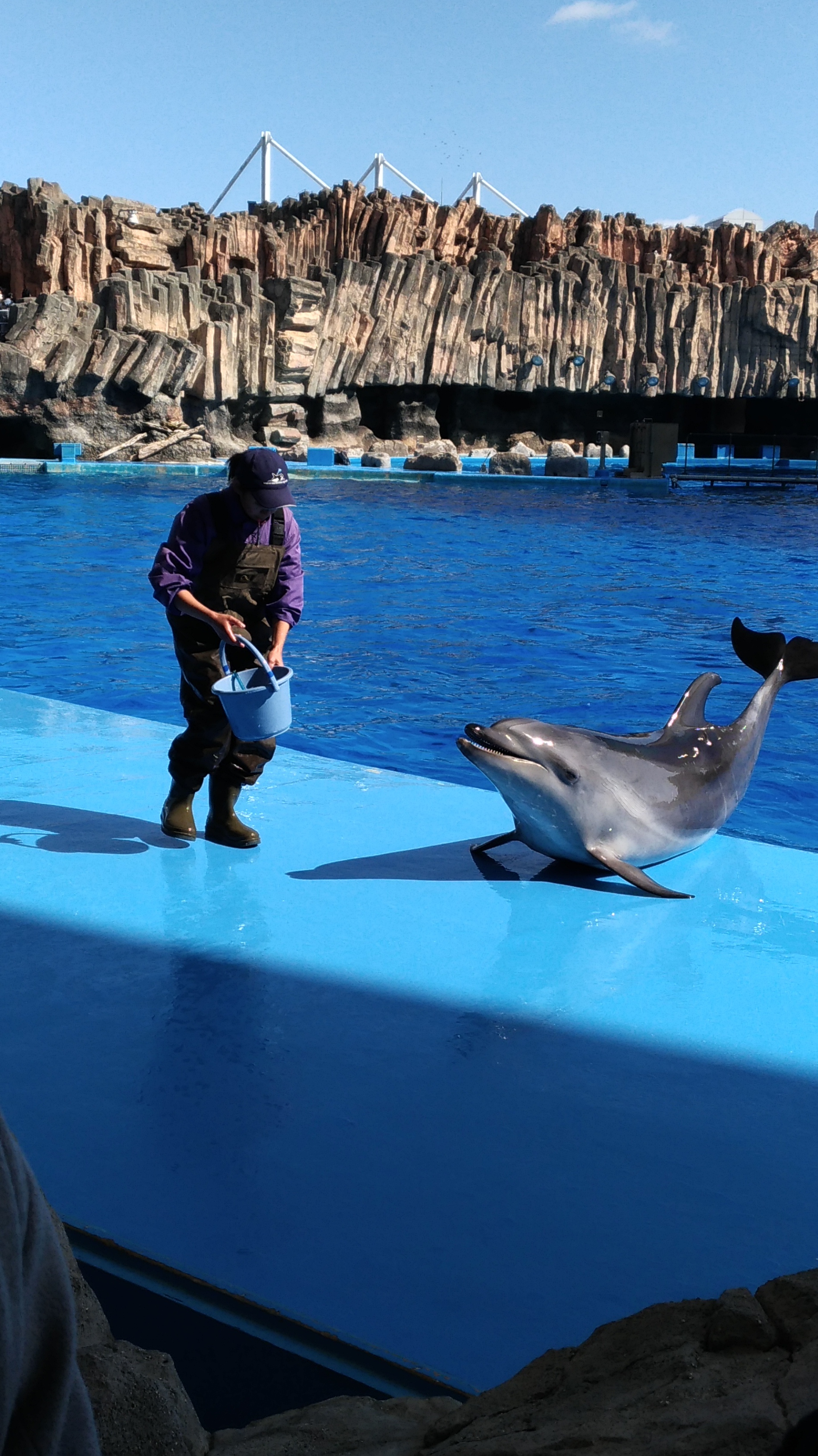 名古屋港水族館_口コミ投稿写真20180413153039