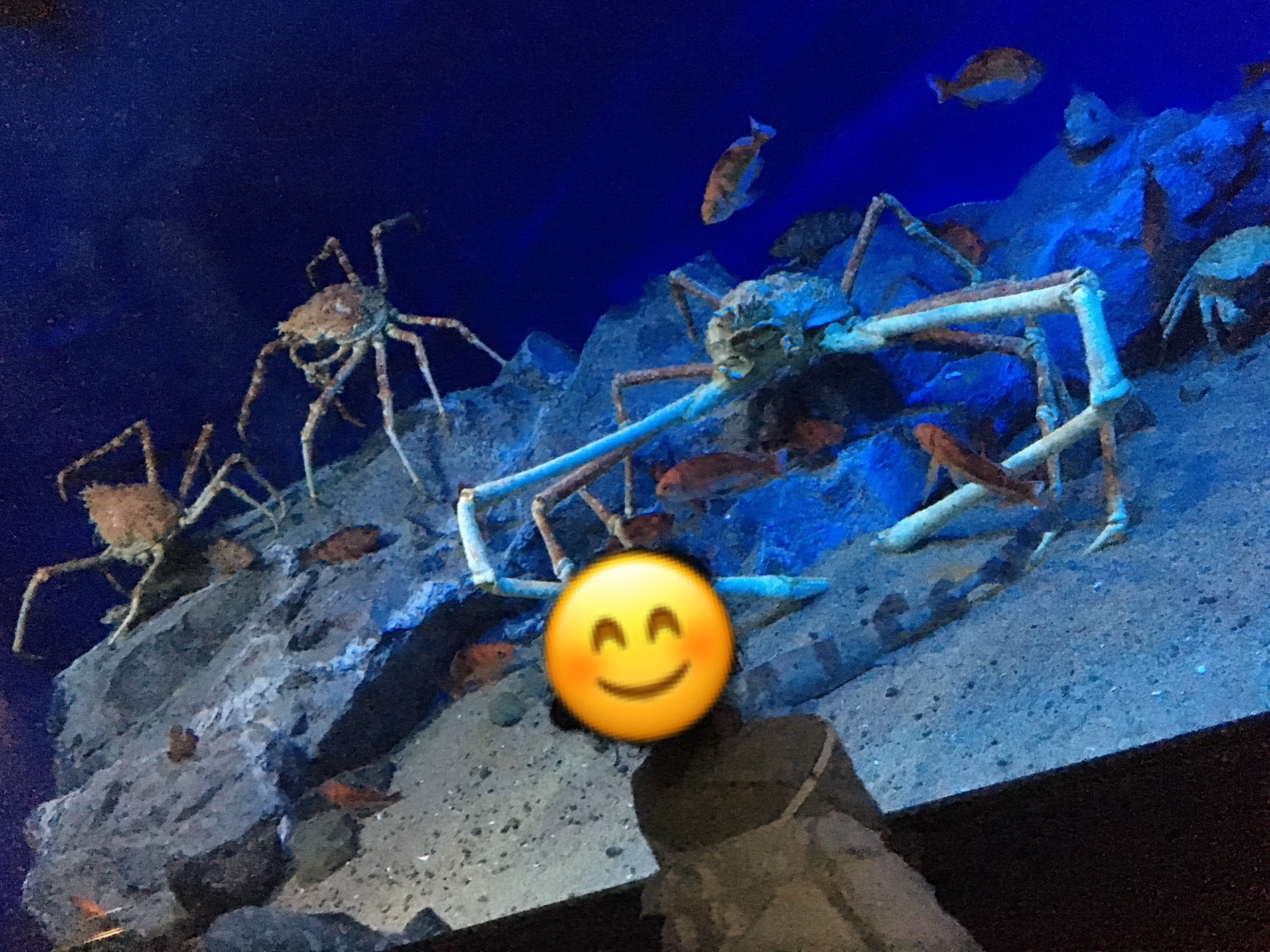 名古屋港水族館_口コミ投稿写真20180419223355