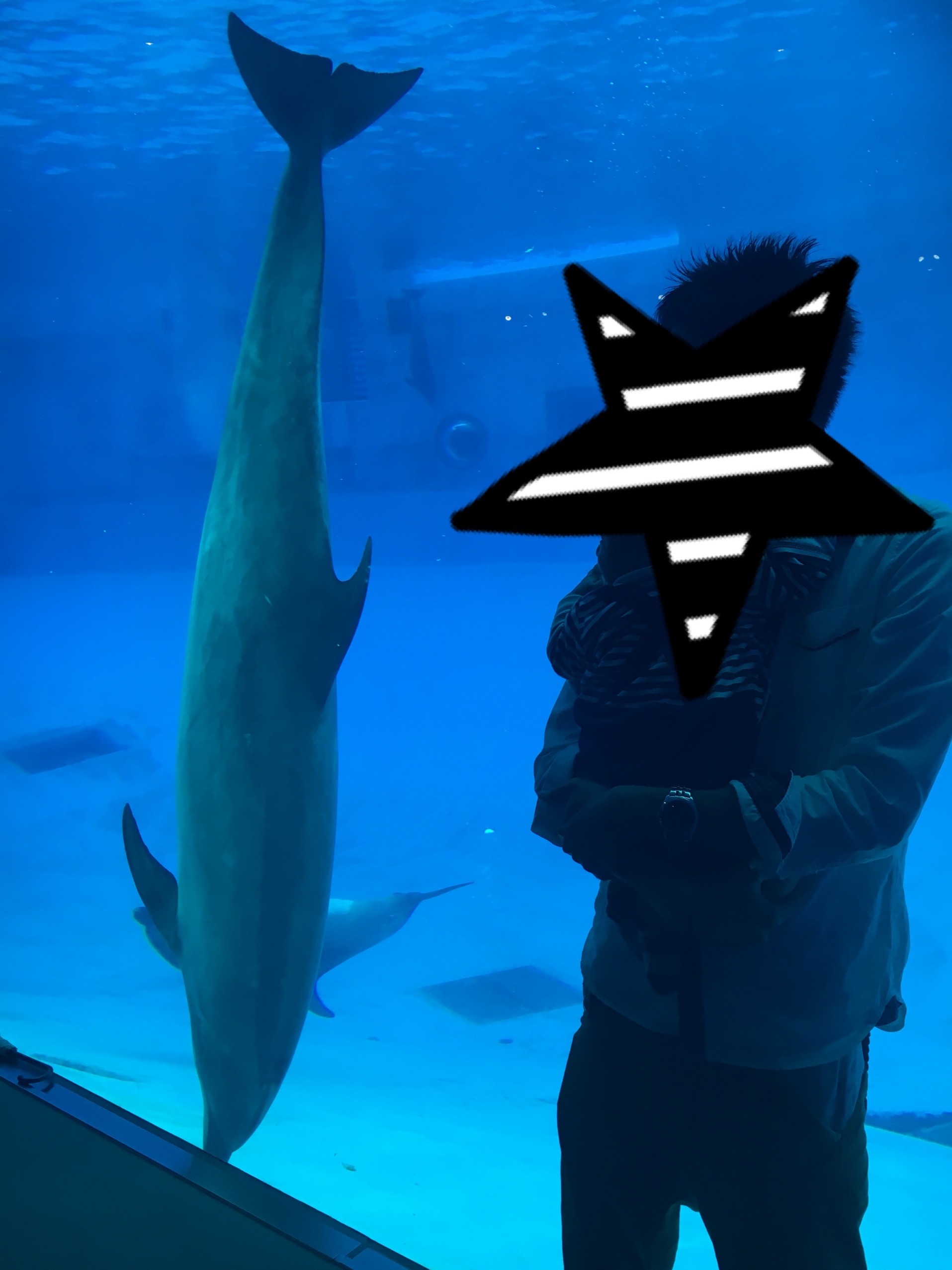 名古屋港水族館_口コミ投稿写真20180421114908