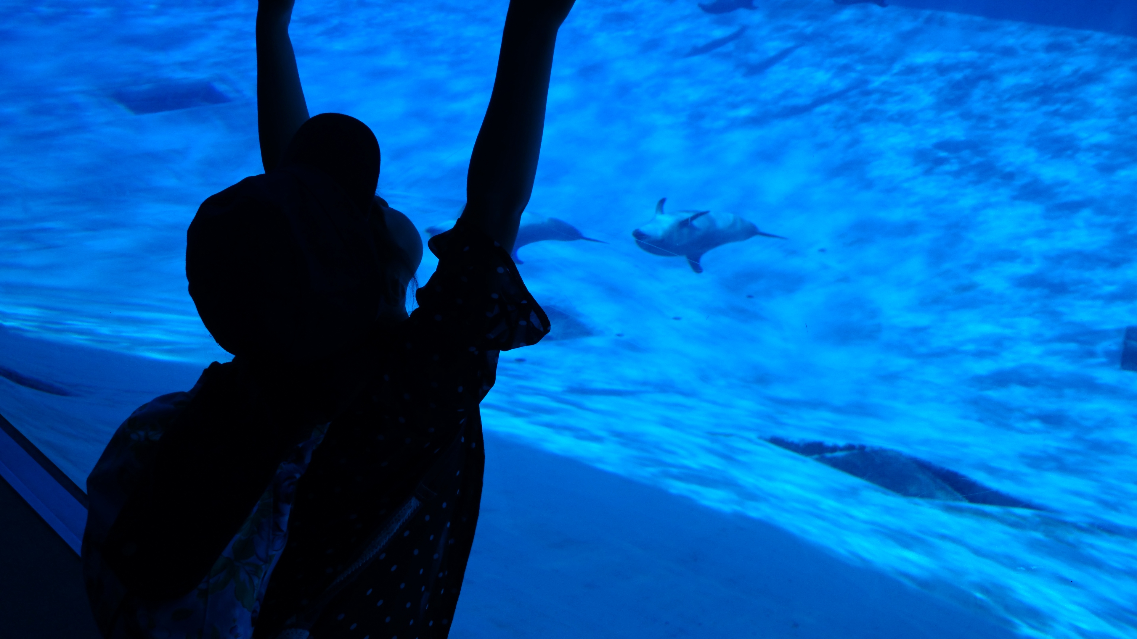 名古屋港水族館_口コミ投稿写真20180513111859