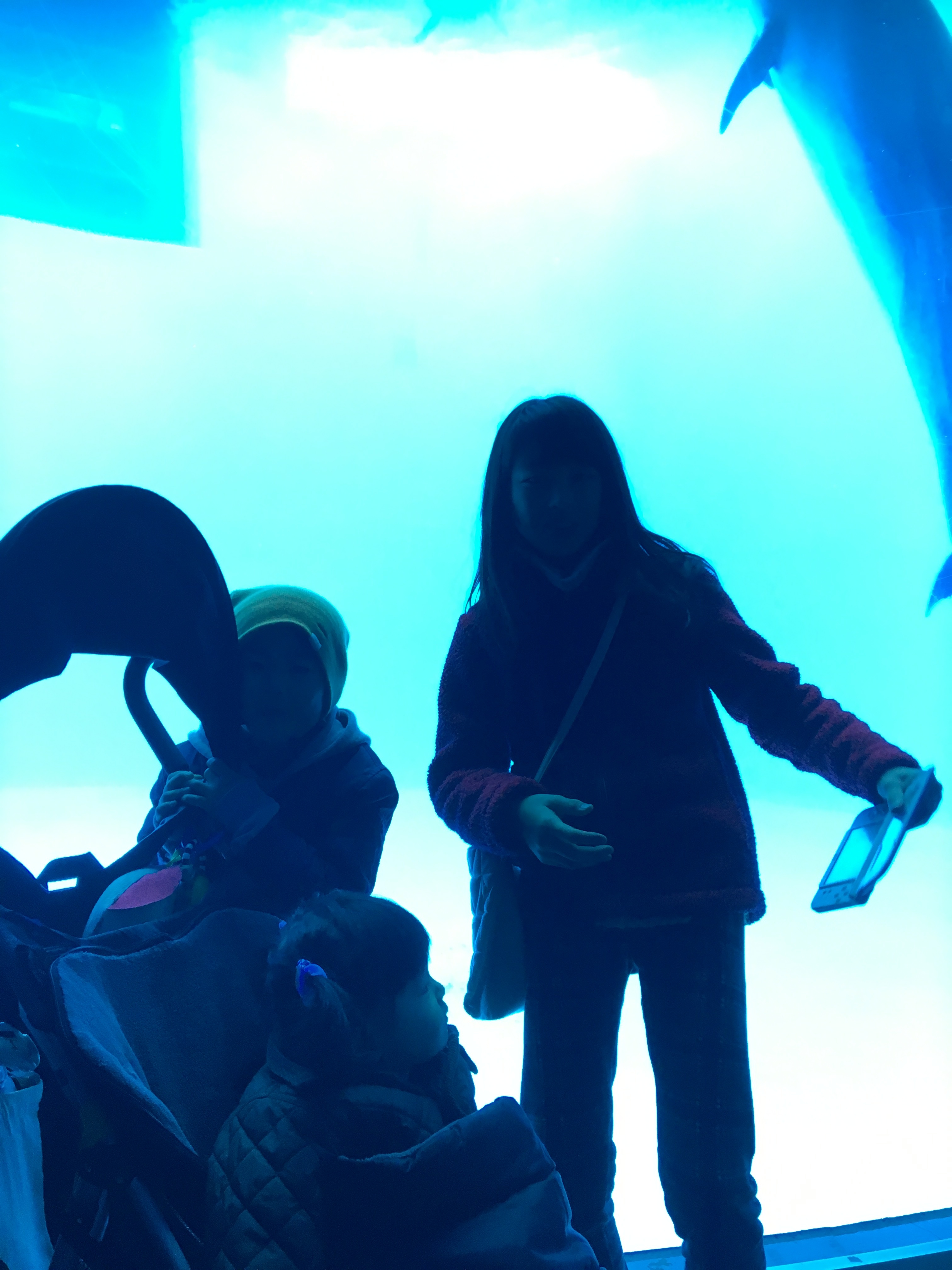 名古屋港水族館_口コミ投稿写真20180519001829